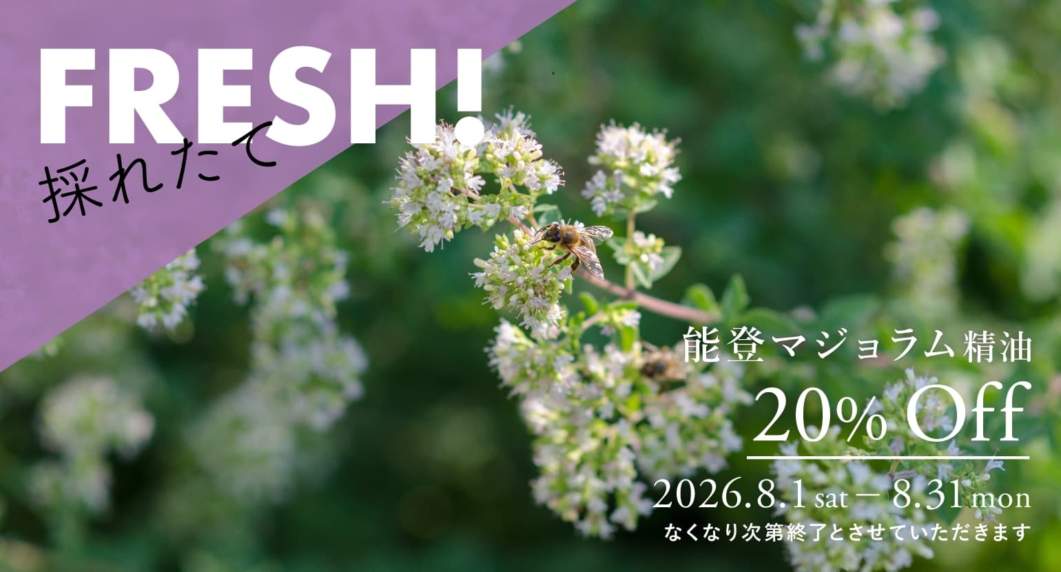 能登マジョラム精油セールバナー