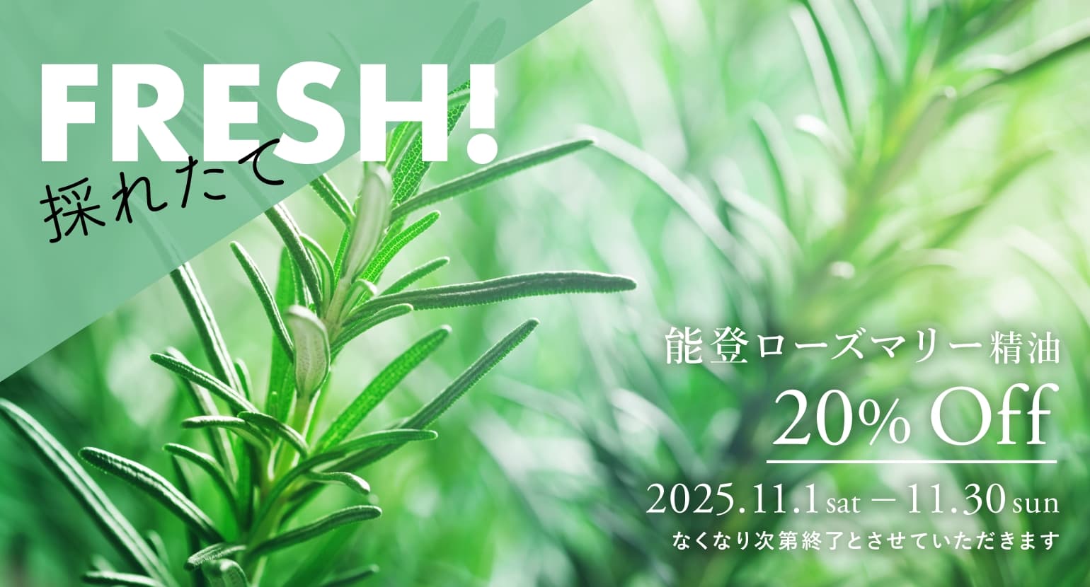 能登ローズマリー精油セールバナー