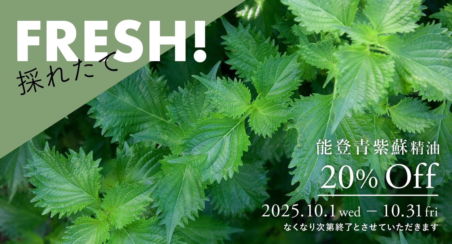 能登青紫蘇精油セールバナー