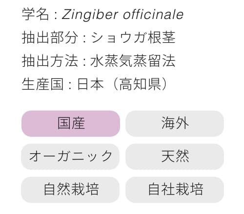 生姜成分画像