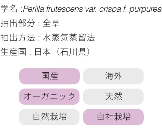 赤紫蘇成分画像